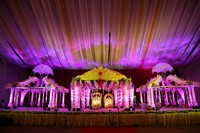 Hero Aadi Marriage Photos